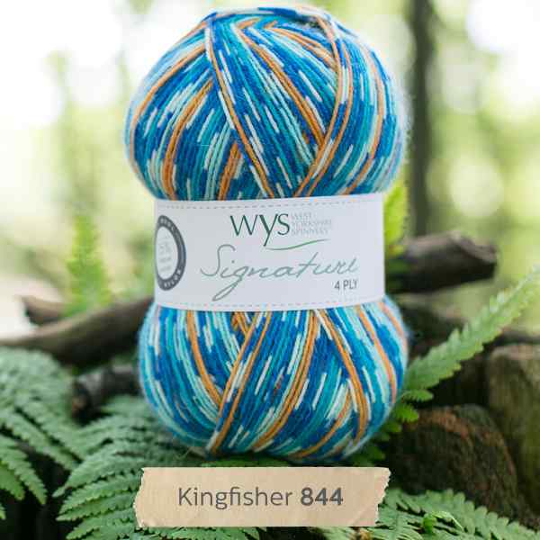 WYS Signature 4ply Country Birds Kingfisher 844